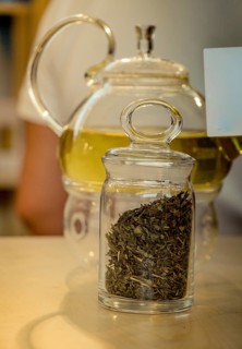 Herbal tea brewed in glass teapot and tea plant in a bottle