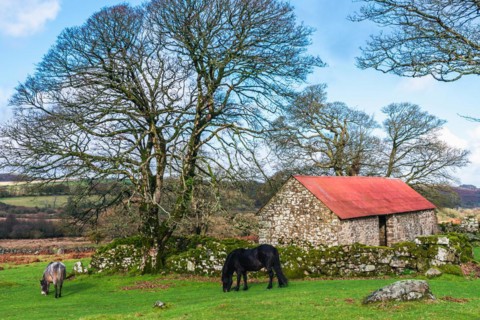 Panorama of Emsworthy Mire