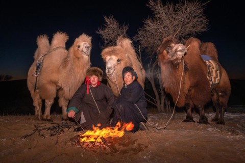 Meeting place for nomad friends. Bulgan Province