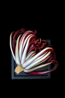 Radicchio