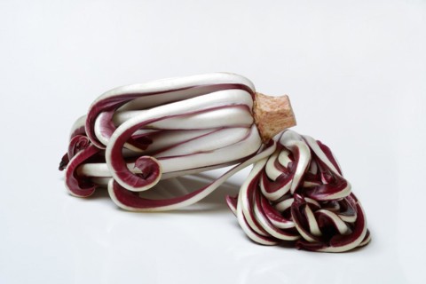 Radicchio