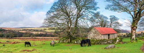 Panorama of Emsworthy Mire