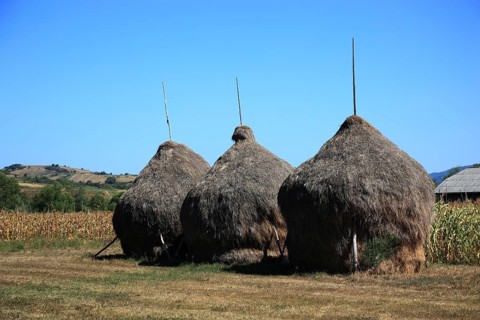 Farming in the Maramures