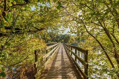 Wooden bridge from Werd Monastery Island across the Rhine to Eschenz
