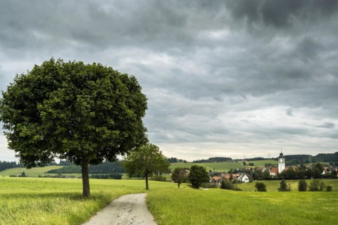 A village in the Black Forest with a church