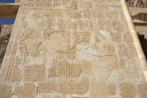 Rock drawing in the Temple of Hatshepsut