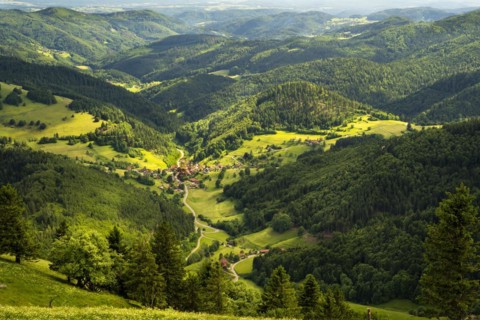 Hilly landscape with a village