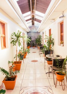 A hotel corridor with pots of natural plants. Corridors of a tropical hotel