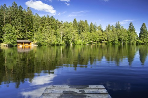 A lake in the forest in fine weather