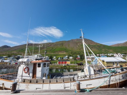 Fishing boat in the harbour