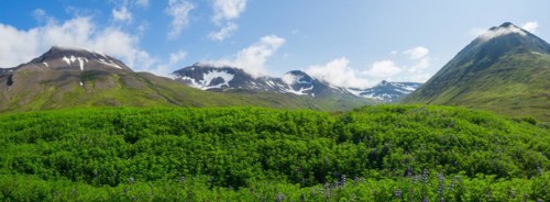 Green landscape and snow-capped mountains