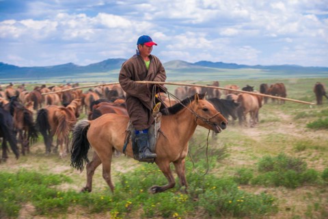 Nomadic riders. Mongolia Bulgan Province