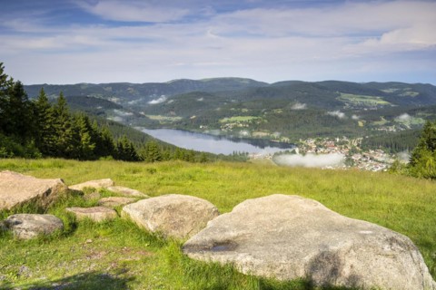 Landscape with meadows