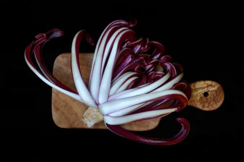 Radicchio