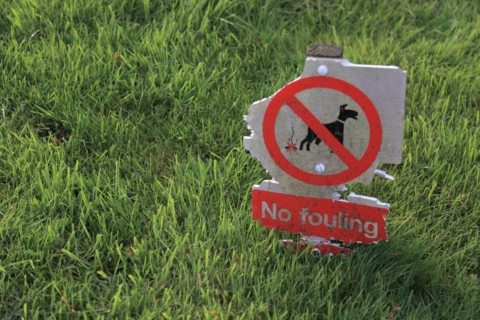 A damaged sign in a meadow
