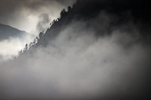 Single trees on rocky ridge in backlight with threatening cloudy sky