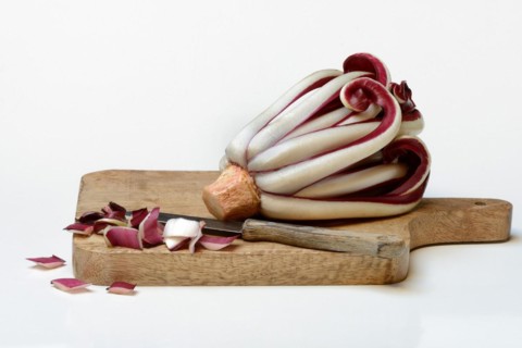 Radicchio