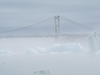 Landscape in the fog