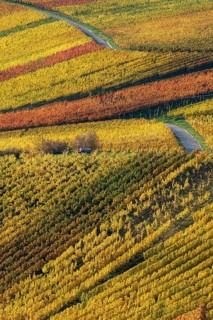Drone image