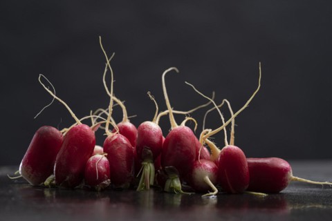 Radish