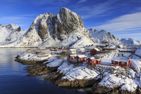 Red rorbuer in winter