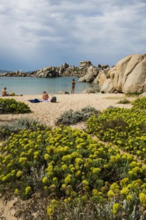 Granite rocks and sandy beach
