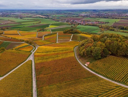 Drone image
