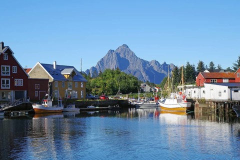 Wooden houses