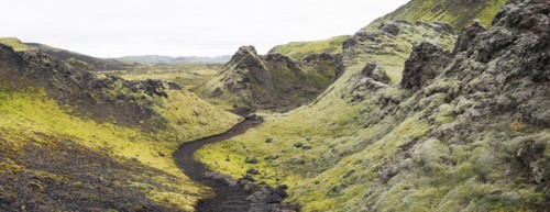 Moss-covered volcanic landscape