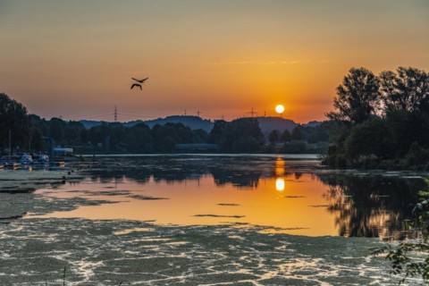 Sunrise over Lake Kemnader