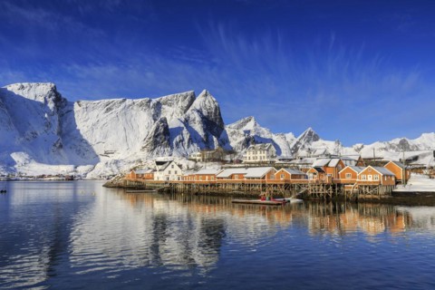 Yellow rorbuer in winter
