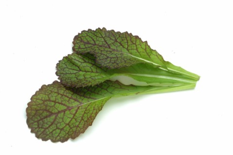 Lettuce