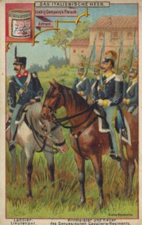 The Italian Army