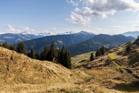 Alpbachtal