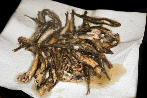 Fried anchovies