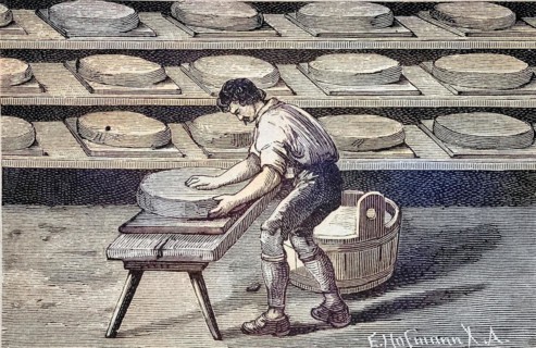 Cheese making
