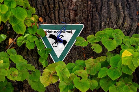 Information sign
