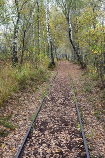 Autumn in the Kendlmuehlfilzen high moor