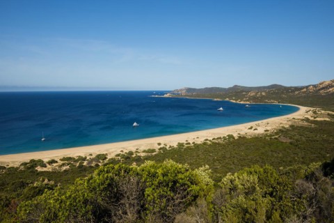 Sandy beach beach