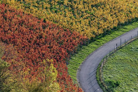 Drone image