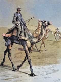 English Camel Riders in Egypt