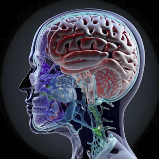 Icon image of human transparent head with brain and dementia