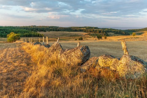 Landscape of Cantal at sunset. France