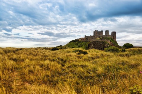 Dune Landscape with Grasses