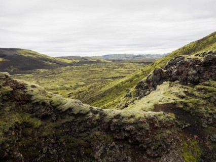 Moss-covered volcanic landscape