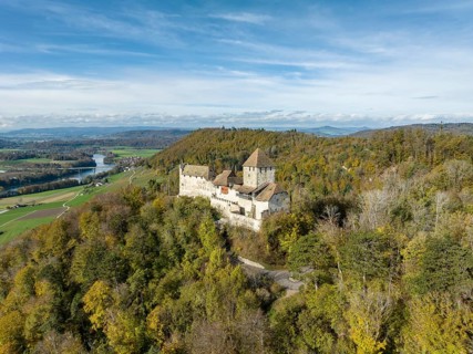 Hohenklingen Castle above Stein am Rhein