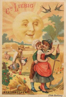 Picture series sun pictures