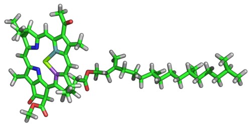 Chlorophyll Molecule