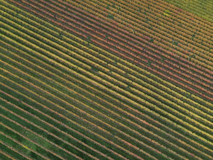 Drone image