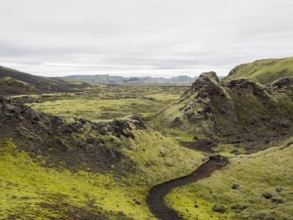 Moss-covered volcanic landscape